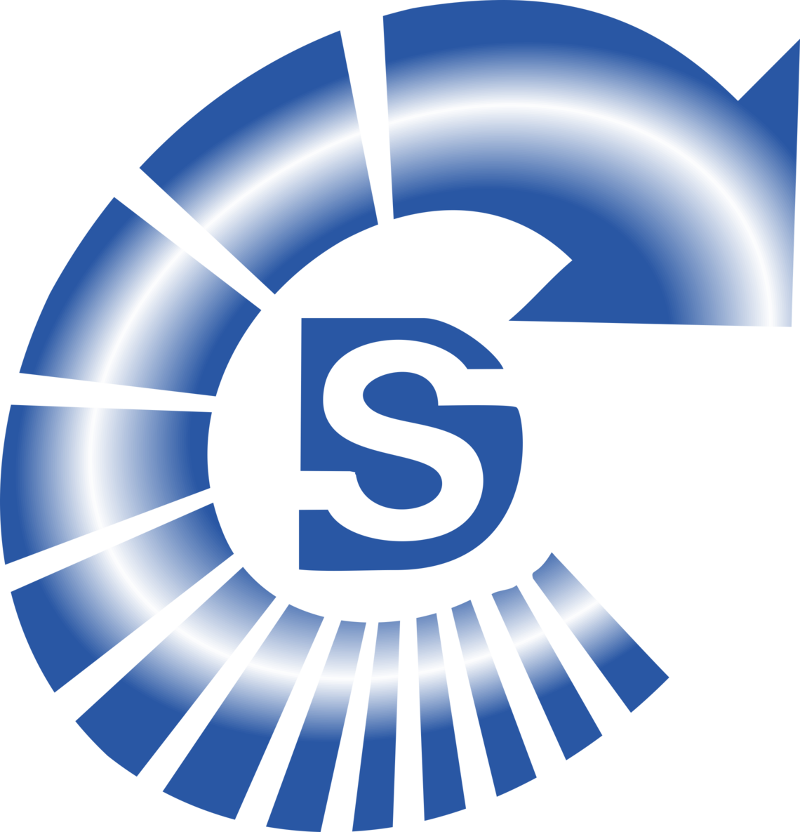 Delicate Software Solutions